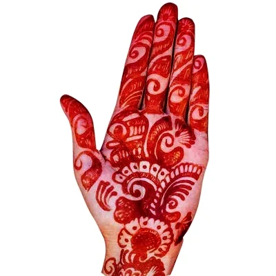 6 Different Shades of Red Instant Vimal's Sehnaaz Henna Mehandi Set of 6  Cones - Etsy