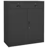 Anthracite Color