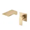 Brushed Gold Color