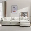 Beige Color