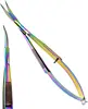 Arc-en-ciel courbé