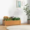 Natural Color