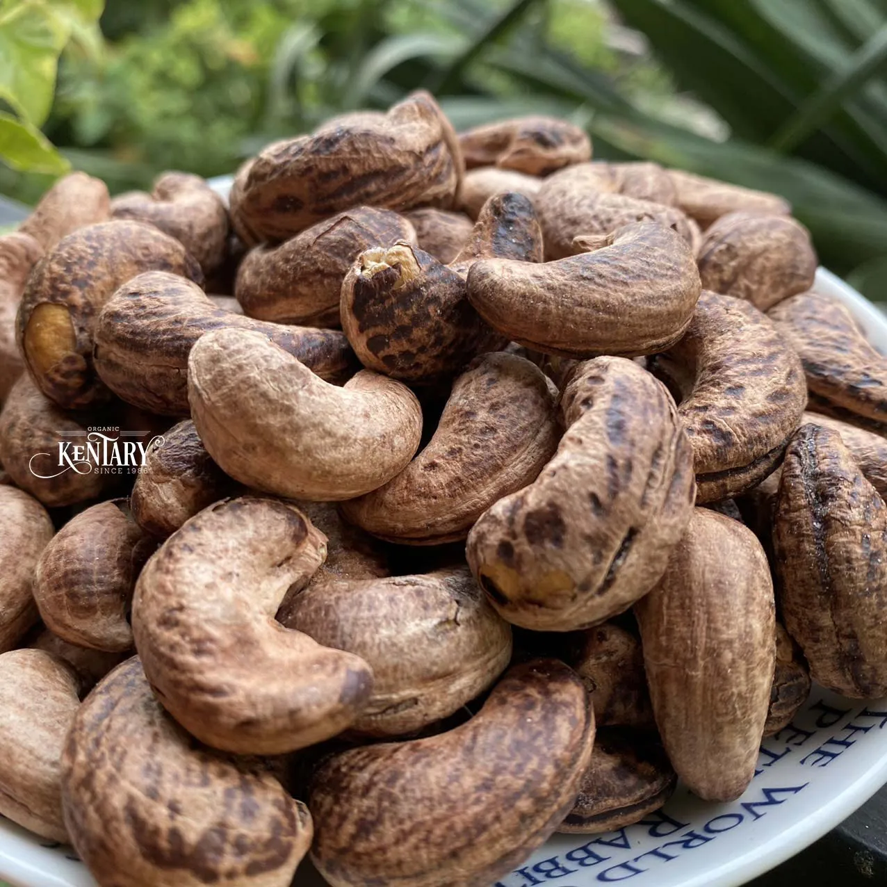 Bulk Roasted Charcoal Cashew With Skin Fresh Vietnam Wholesale Nut Snacks Salt Baked Nuts for Snack Raw Processed Cashew Nut