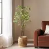 Green Color