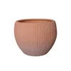 Terracota