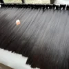 Weft 02