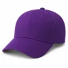 สีม่วง