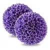 Purple1