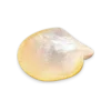 Sólido