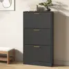 Black Color