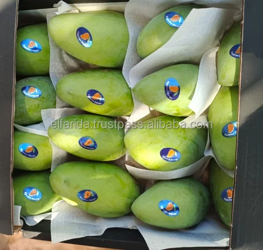 100 Natural Delicious Taste Top Quality Wholesale Egyptian Fresh Fruit Mangoes At Best Market