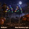 Colorful Strawberry Tree Light