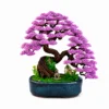 สีม่วง