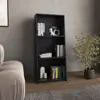 Black Color