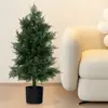 Green Color