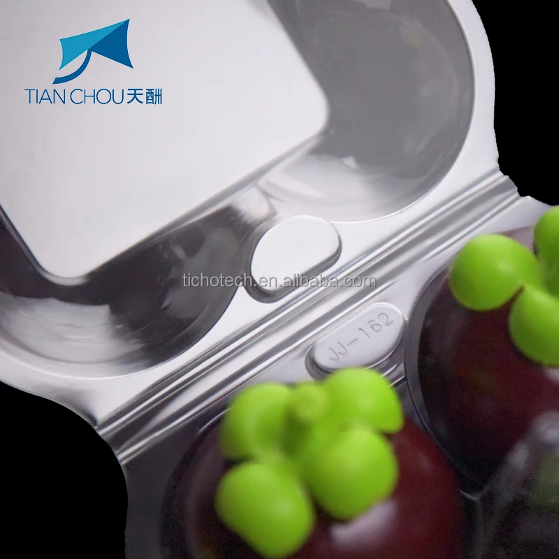 Customized PET Square Recycled Plastic Clamshell Fruit Packaging Containers for Mangosteen for Orange Strawberry Grape More