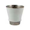 23609 Platine &amp; Blanc