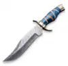 Vibrant Blue & Wood