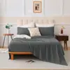 gray Color