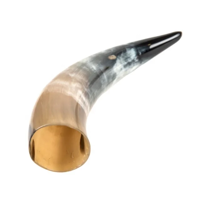 Natural Viking Cow drinking horn Indian horn finish horn authentic ...