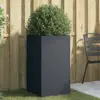 Anthracite Color