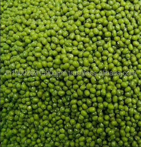 green-mung-beans-500x500.jpg