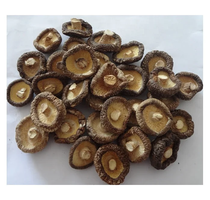 Органический сушеный гриб шиитаке для приготовления пищи, высококачественный цветочный гриб, Лучшая цена, сушеный гриб шиитаке из Вьетнама
