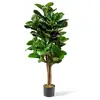 Green1