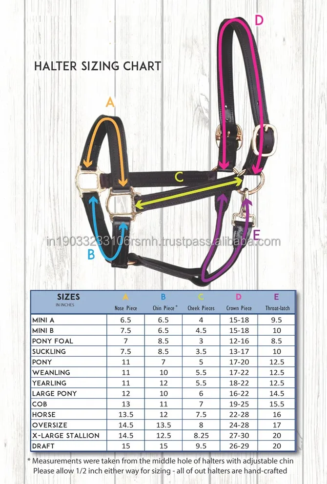 Heavy Duty Adjustable Horse Bridle Made From Durable Pvc And Pp