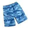 Blue coconut tree