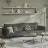 Gray Color