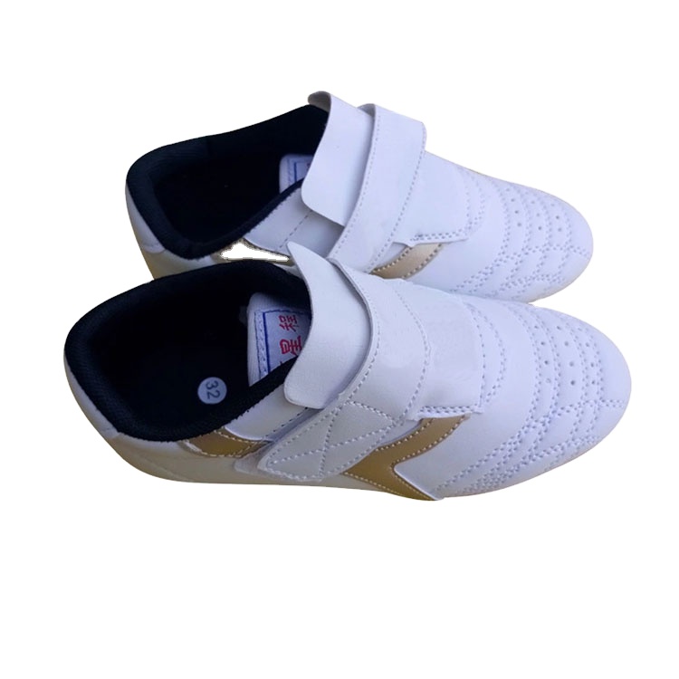 Высококачественный Пользовательский логотип и дизайн 2021 Новое поступление мужская боксерская обувь для боевого искусства тхэквондо