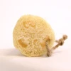 Esponja vegetal (loofah)