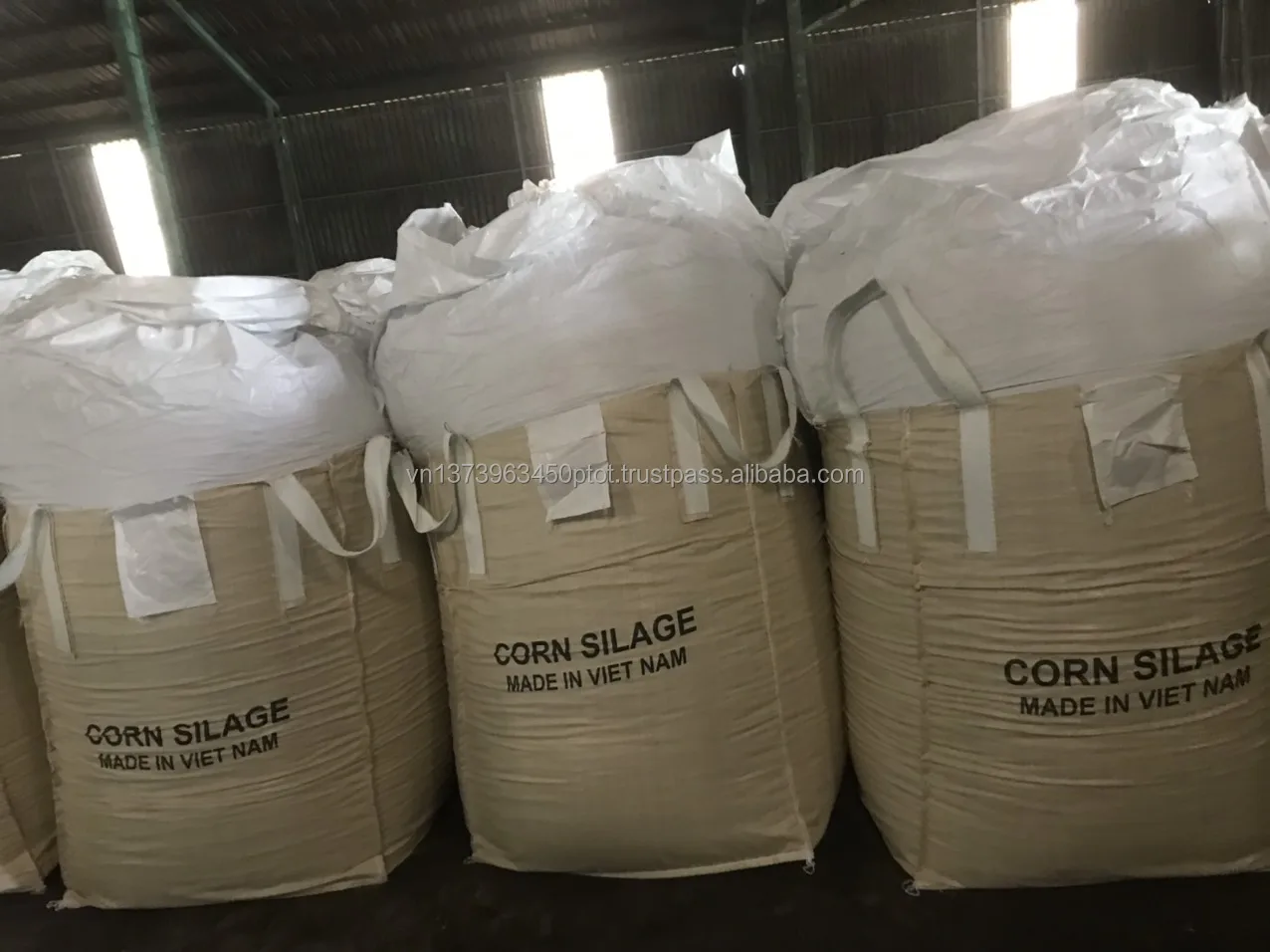 Maize Silage Feeding/ Fermented Corn Silage/ Dried Corn Silage For