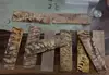 Natural Horn Colours