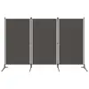 Anthracite Color