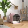 Pink Color