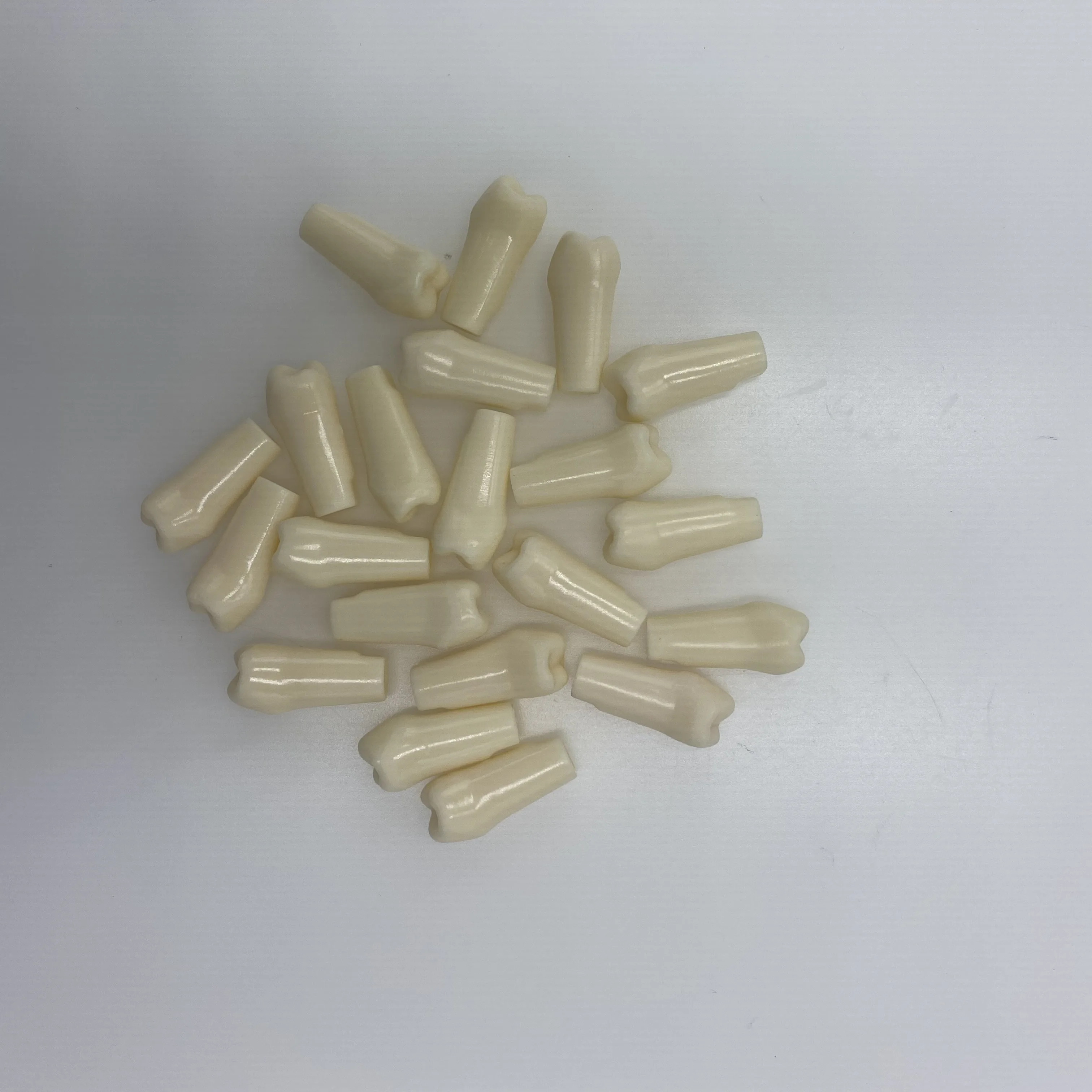 Nissin Type Typodont Resin Teeth Replacement for Dentist Oral Teaching Model
