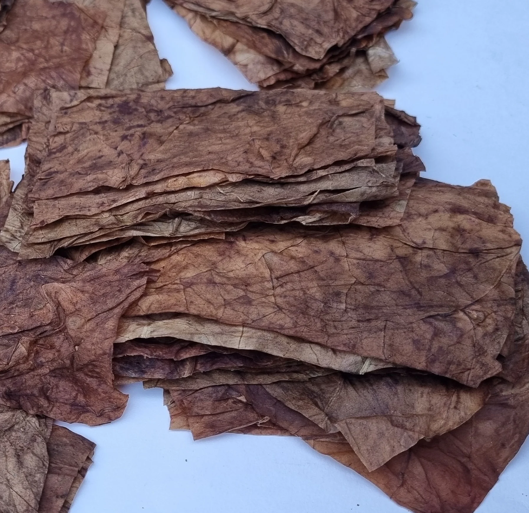 tobacco trust Dunbarton Tobacco and Trust – King of the Leaf