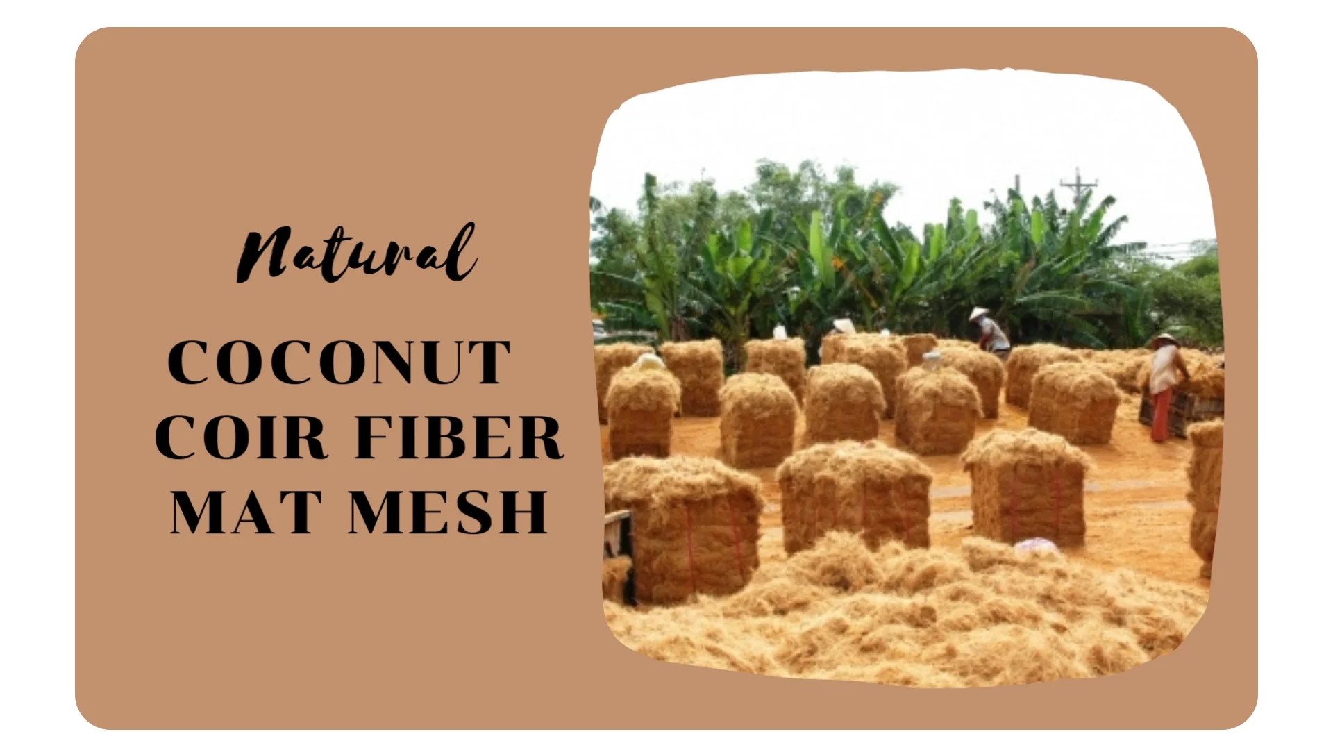 Ecofriendly 2023! Coconut Fiber Mattress/ Coconut Fiber Coir Fiber Mat