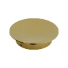PVD Gold