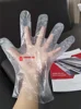 transparent