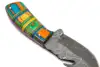 Vibrant Multi-Color Segmented