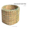 Natural Coconut Fiber