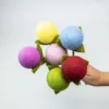 Pom Pom Ball Flower