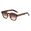 C4: Tort/ Brown Gradient