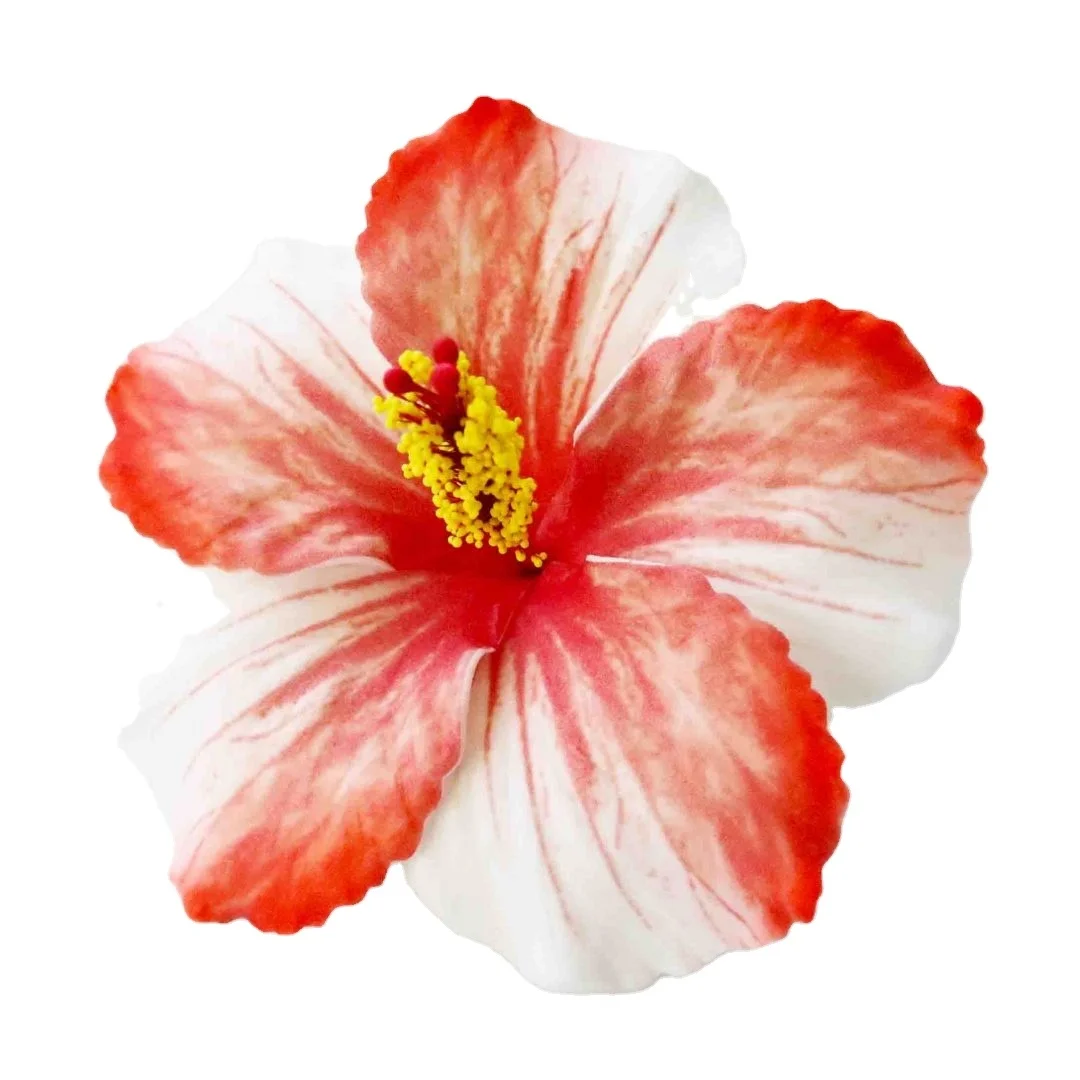 Handmade Eva Foam Hawaiian Hibiscus Flower With Special Pattern Print