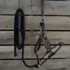 Negro