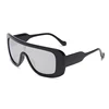 C2: Black/ Silver