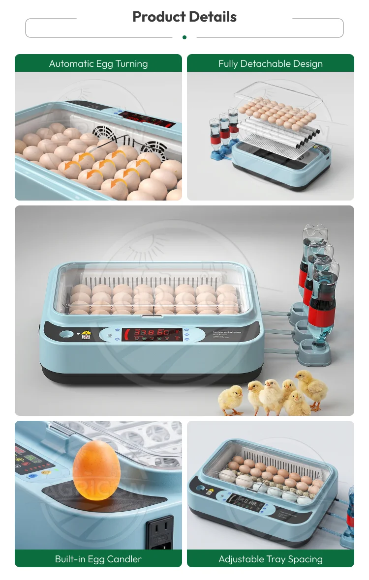Automatic Plastic Egg Incubator 48–96